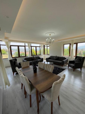 Single Villa